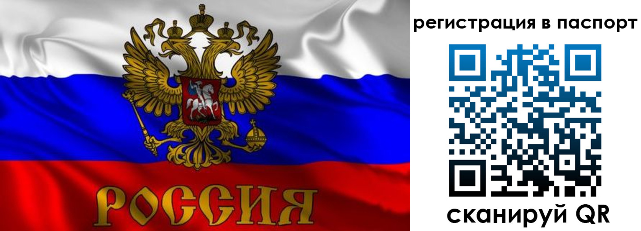 найти адрес прописки в Пущино